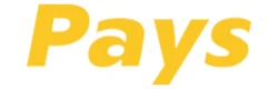 Payscz payment gateway